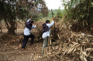 Project Phongsali: We push on to clear the village schoolyard.  We’ll resolve the issue of what to do with UXO if and when we find some.