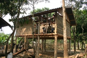 Project Phongsali: Villagers work cooperatively to build a house.