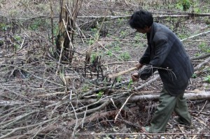 Project Sekong 2012: CARE, our partner, has the livelihood projects well organized and we get good cooperation from villagers.  We thank our lucky stars!