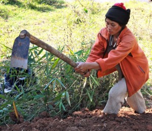 Project Sekong 2012: Villages move closer to doubling their rice crop. The paths of the new irrigation ditches are cleared of UXO.