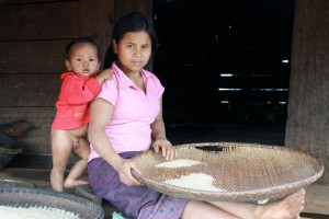Rice