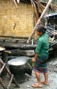 Project Sekong 2012: Will two rice crops a year mean double the work for women who pound and winnow the grain?