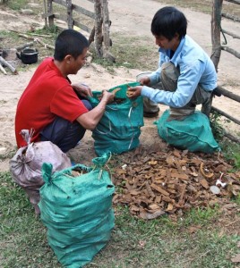 Project Sekong 2012: Work is going slow.  We’re finding cluster bomblets but also shrapnel by the bucketful.