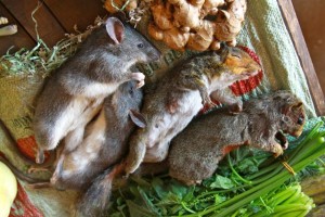 Meat in the Dakchung market